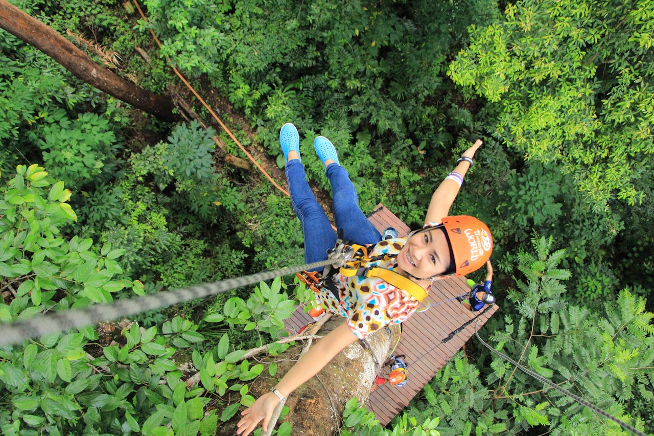 Fly like a gibbon through ancient rainforest